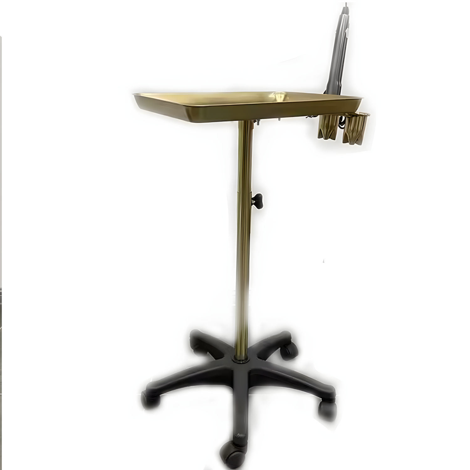 Auxiliar Profesional con Elegancia Vip 2