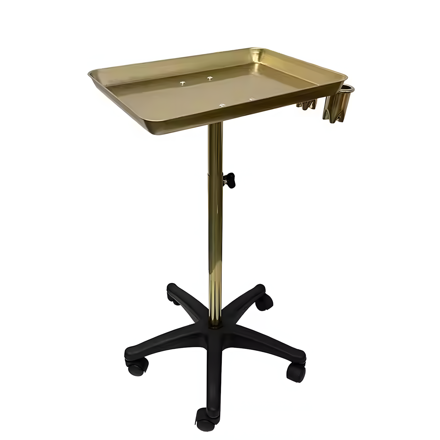 Auxiliar Profesional con Elegancia Vip