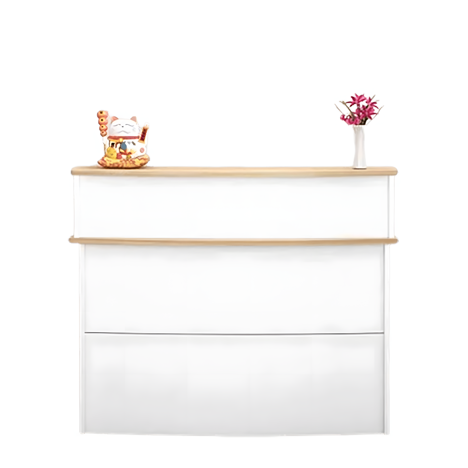 Counter Recepción Profesional Elegante 2